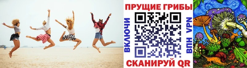 Галлюциногенные грибы Psilocybe  закладки  мега ТОР  Большой Камень 