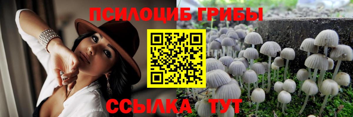 Псилоцибиновые грибы Psilocybine cubensis  как найти   Большой Камень  Вход с VPN  Псилоцибиновые грибы мицелий 