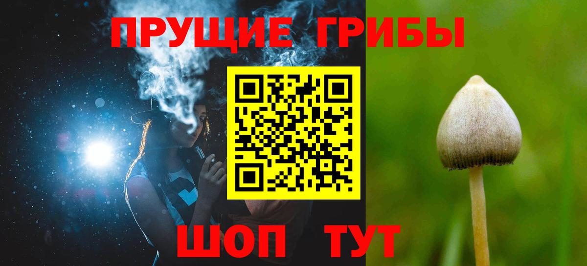 Галлюциногенные грибы ЛСД Большой Камень